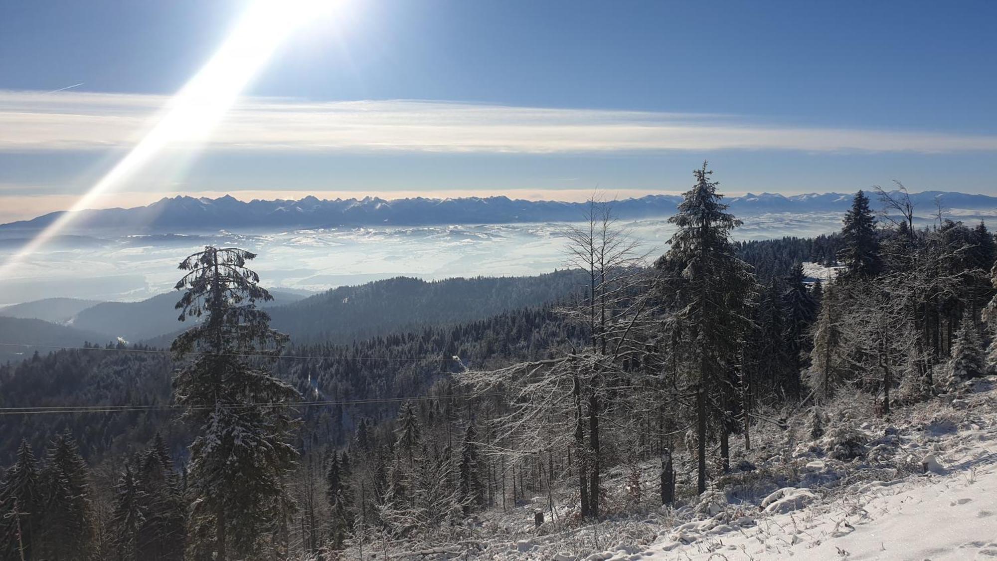 Bukowina Tatrzanska -Czarna Gora- Black Apart- Piekny Widok Na Tatry Екстер'єр фото
